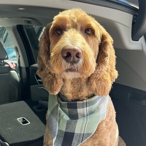 Meet your Posher, Christine